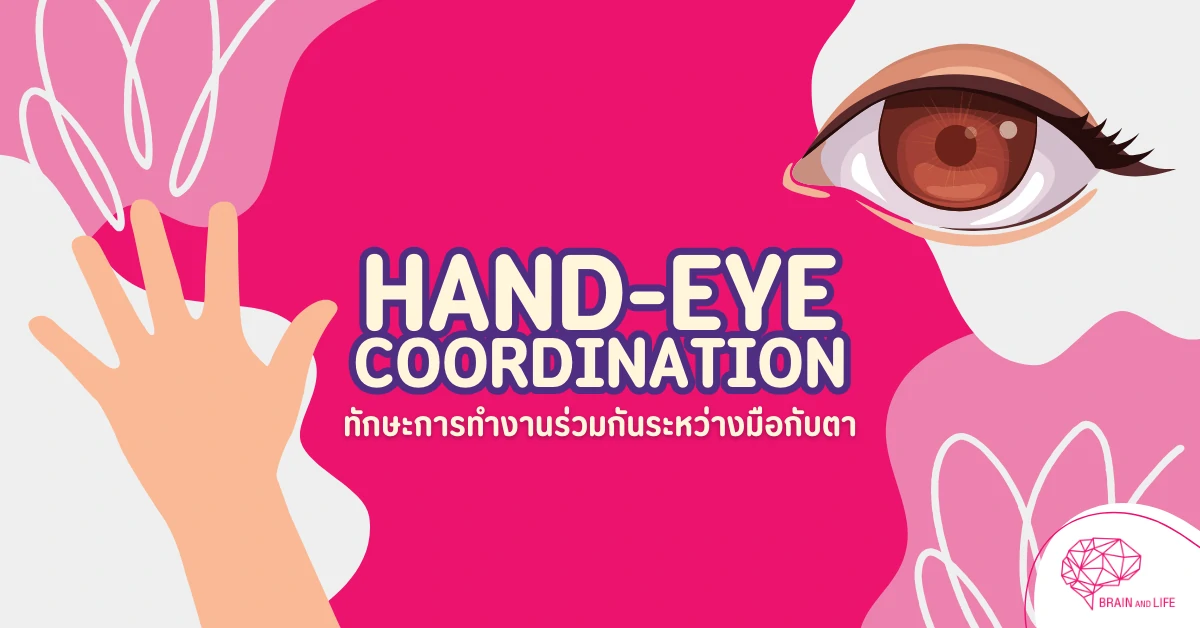 การทำงานร่วมกันระหว่างมือกับตา