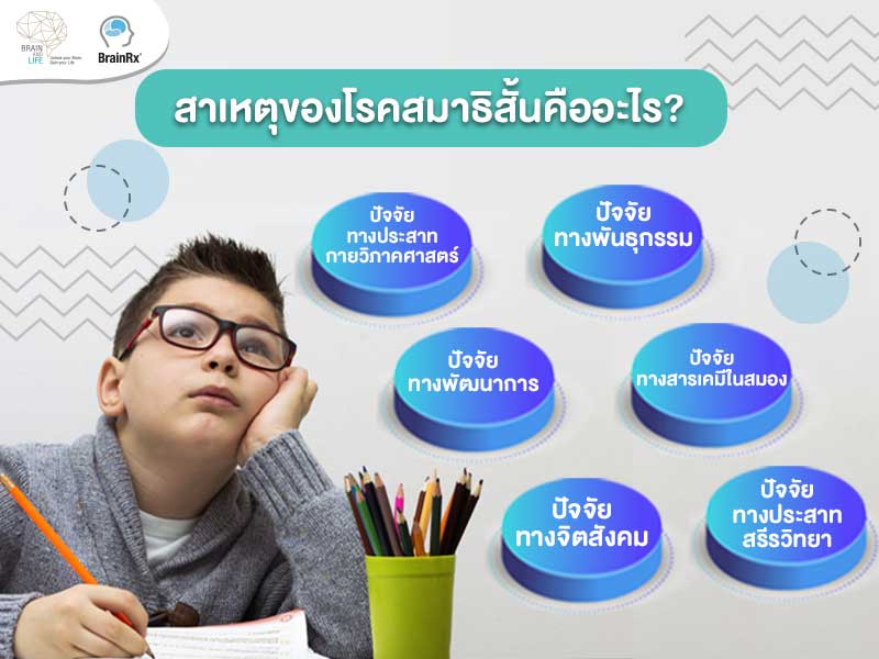 สาเหตุของโรคสมาธิสั้น หรือ ADHD คืออะไรบ้าง วิธีแก้สมาธิสั้นเพื่อพัฒนาสมองคืออะไร