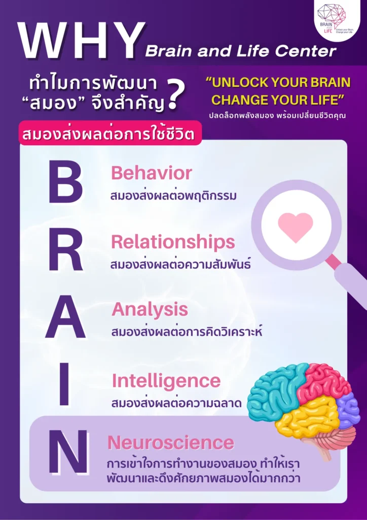 ทำไมการพัฒนาสมองจึงสำคัญ