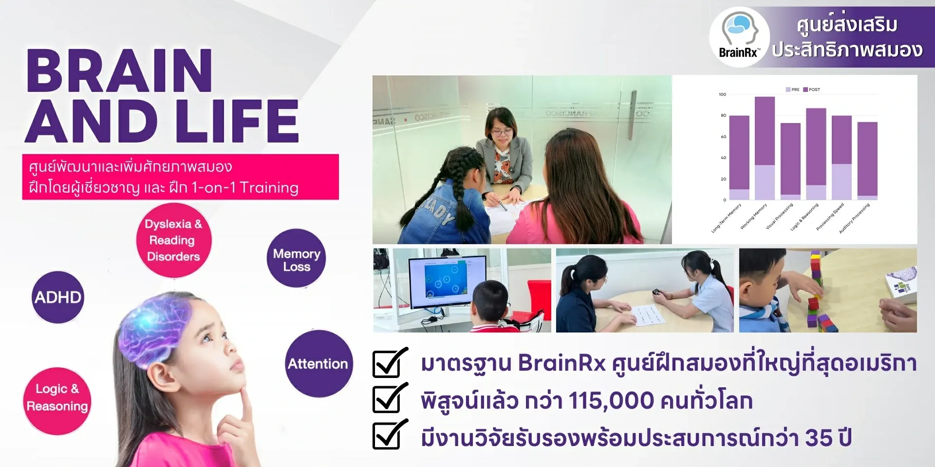 Brain and life