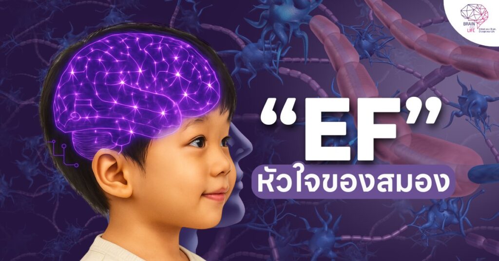 หัวใจของสมอง
