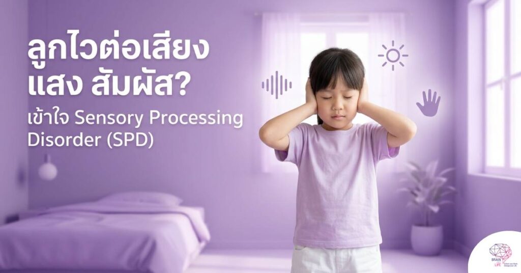 ลูกไวต่อเสียง แสง สัมผัส