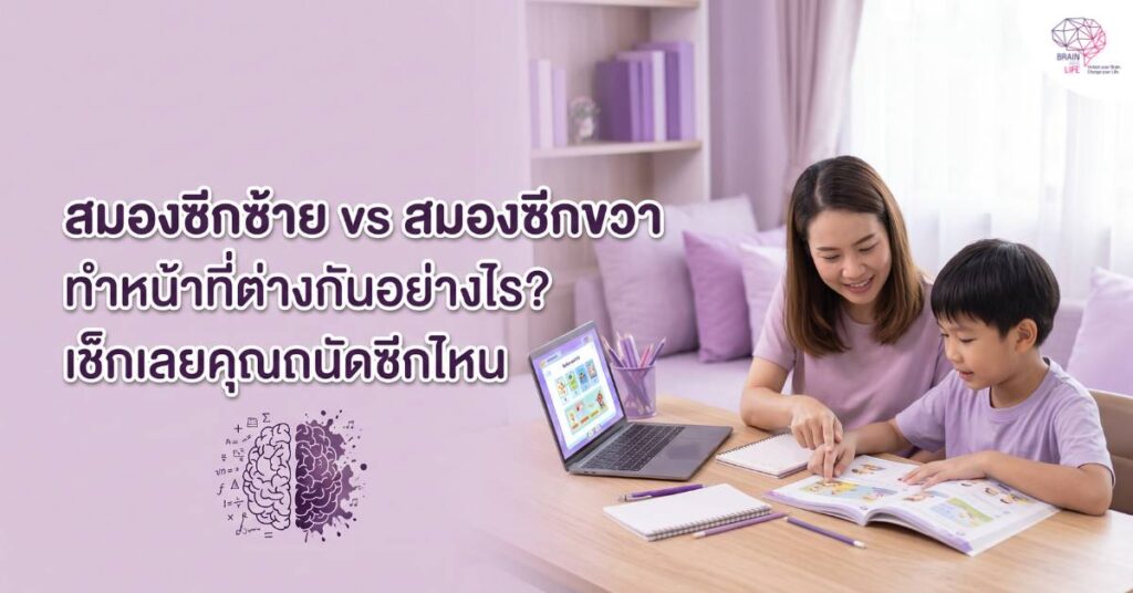 สมองซีกซ้าย vs สมองซีกขวา