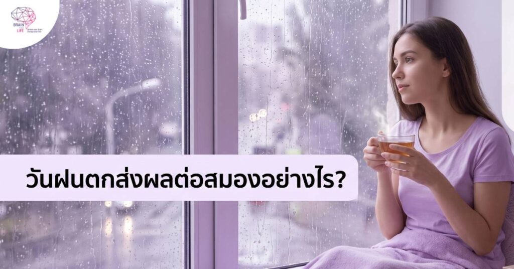 ความลับอารมณ์ สมาธิ ในวันฝนตก