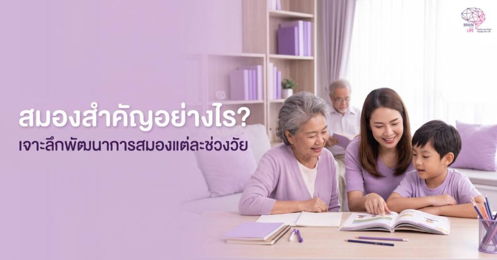 สมองสำคัญอย่างไร