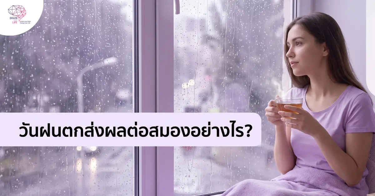 ความลับอารมณ์ สมาธิ ในวันฝนตก