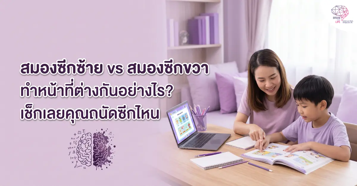 สมองซีกซ้าย vs สมองซีกขวา